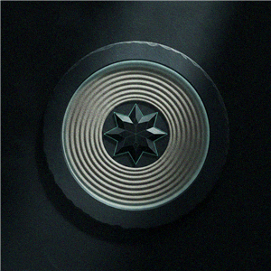 Spinzen
